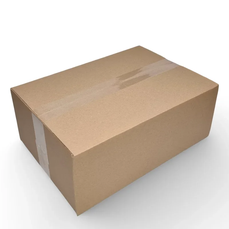 Versandkarton 295x195x90mm 1100 St