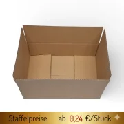 Versandkarton 295x195x90mm 1100 St